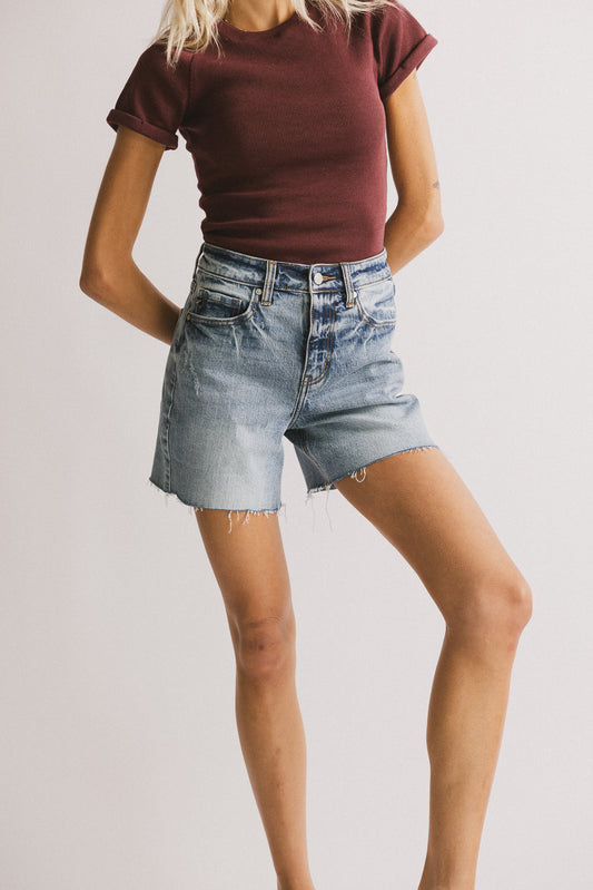 Ariel Distressed Denim Shorts - FINAL SALE
